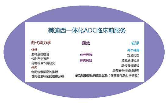 富联娱乐一体化ADC临床前服务