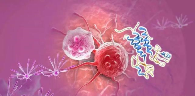 【盘点】高选择性mTOR抑制剂的研究进程_富联娱乐生物医药