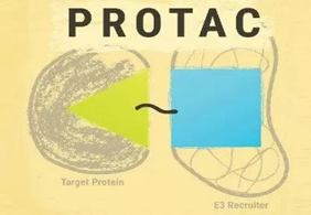 热点前沿:PROTAC初露锋芒，SD-36对抗肿瘤效果卓越