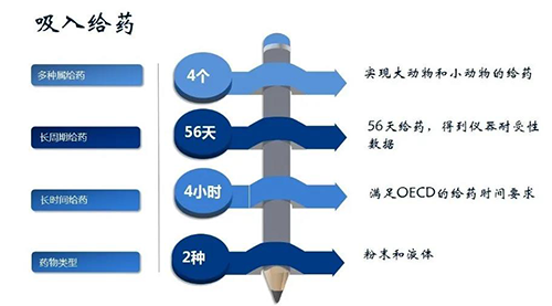 富联娱乐吸入给药安全性评价服务