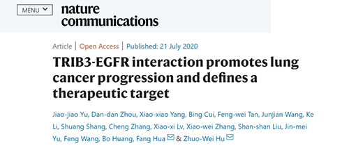 Nature|非小细胞肺癌治疗新方案：靶向降解EGFR