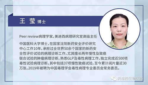 富联娱乐病理研究部高级主任王莹博士