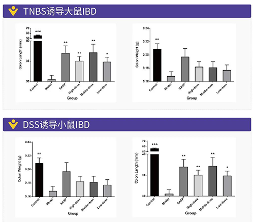 TNBS诱导的大鼠IBD、DSS诱导的大鼠IBD