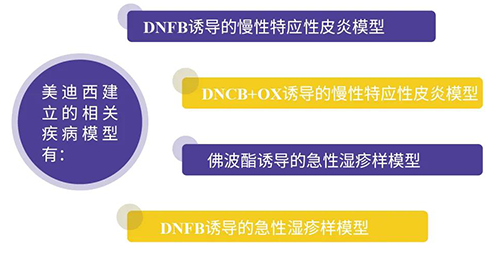 富联娱乐建立的特应性皮炎及湿疹模型