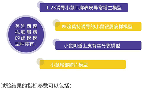 富联娱乐模拟银屑病的建模模型种类