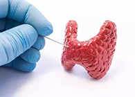 【Science速递】揭开甲状腺的神秘面纱，开启代谢药物新征程