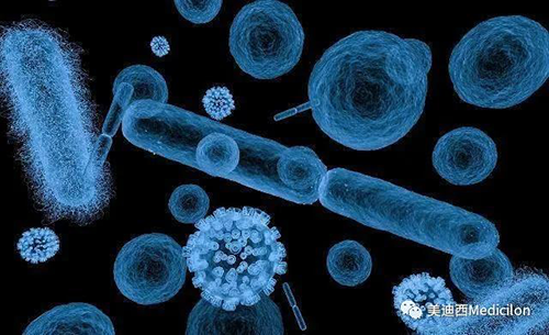 20分钟，大多数细菌都可以繁衍一代 富联娱乐生物医药