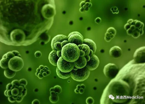 1分钟，全中国就有7.5人被确诊为患癌 富联娱乐生物医药