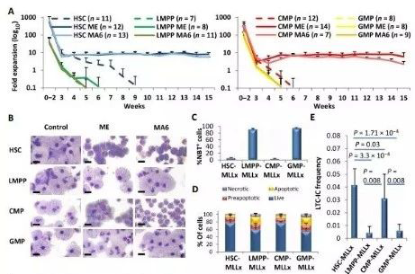 Science子刊：一种FDA批准的抗腹泻药物可有效对抗化疗的耐药性 富联娱乐生物医药
