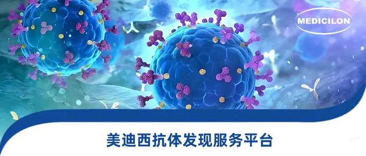 富联娱乐抗体发现服务平台.webp