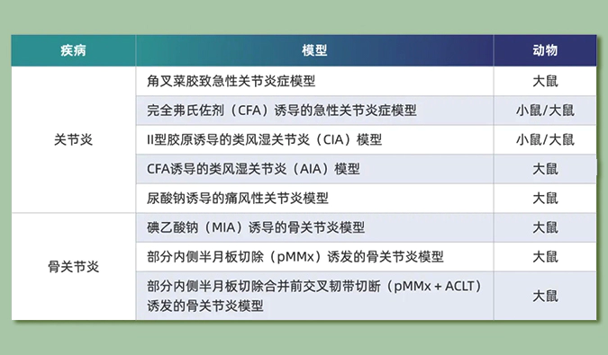 世界关节炎日：突破上亿人的共同难关，持续探索关节炎新药