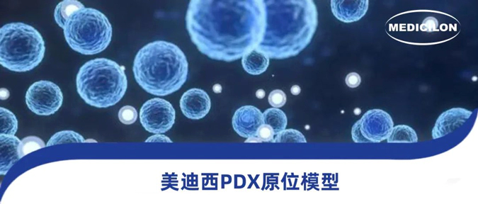 富联娱乐118种PDX原位模型，助力肿瘤药物研发.webp