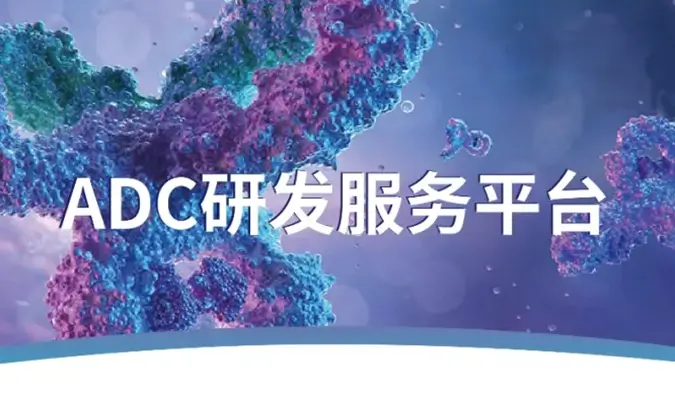 一文读懂：抗体偶联药物（ADC）