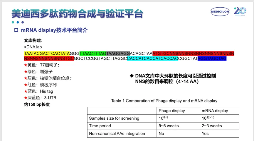 富联娱乐多肽药物合成与验证平台.webp
