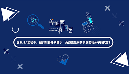 在ELISA实验，如何制备分子量小、免疫原性弱的多肽药物分子的抗体？
