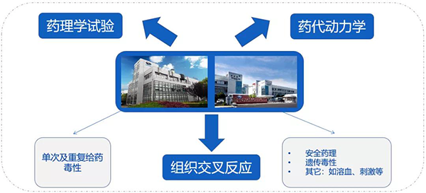富联娱乐药代以及安评研究服务.png