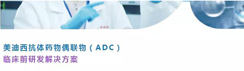 富联娱乐抗体药物偶联物(ADC)临床前研发解决方案.png 富联娱乐抗体药物偶联物(ADC)临床前研发解决方案.png