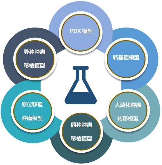 富联娱乐致力于为客户提供成熟的评估ADC体内药效的肿瘤模型.png