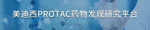 富联娱乐PROTAC药物发现研究平台.png