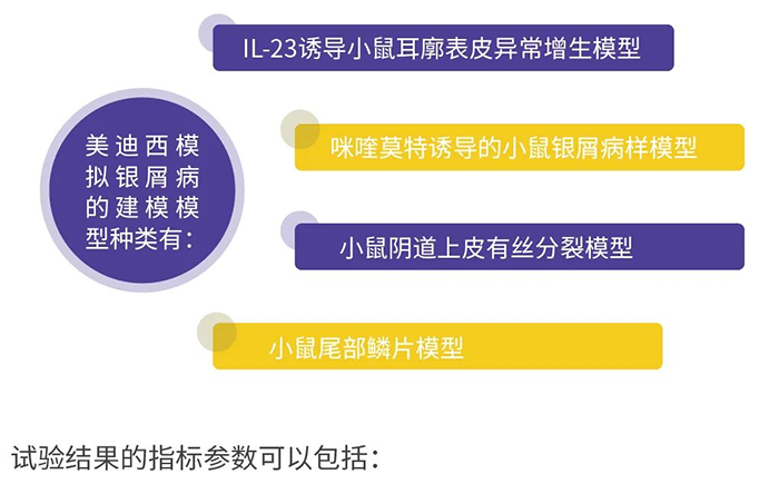 富联娱乐模拟银屑病的建模模型.png