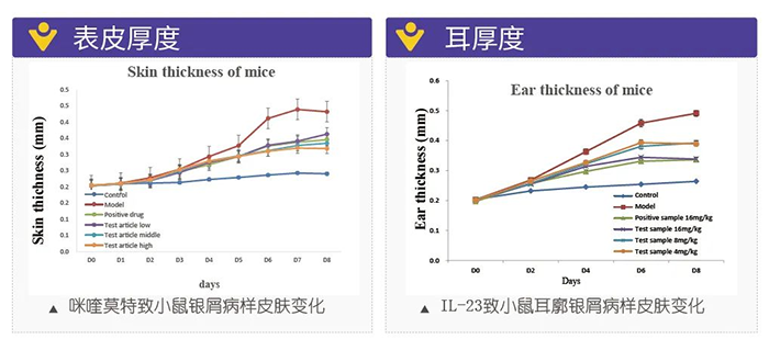 富联娱乐模拟银屑病的建模模型-试验结果的指标.png