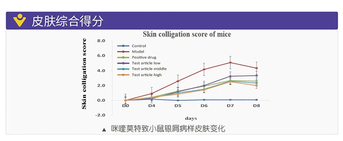 富联娱乐模拟银屑病的建模模型-皮肤综合得分.png