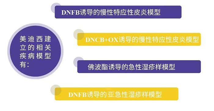 富联娱乐建立的特应性皮炎模型.png