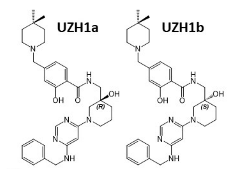 研究人员报告了一种具有细胞渗透性的选择性METTL3纳摩尔抑制剂UZH1a，作者感谢富联娱乐合成了UZH1a和UZH1b