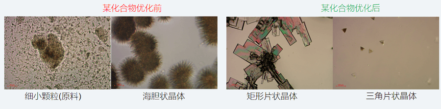 05案例分享-单晶培养，改变晶习.png