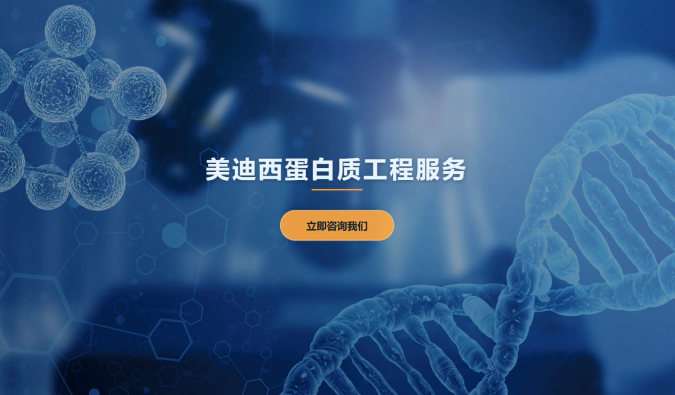 富联娱乐蛋白质工程服务