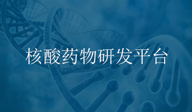 富联娱乐核酸药物研发服务平台.webp