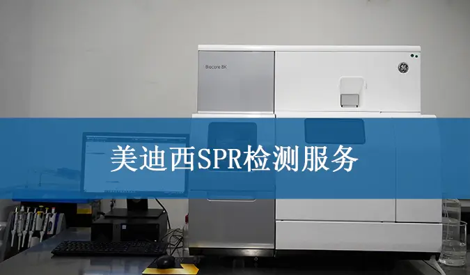 富联娱乐SPR检测服务.webp