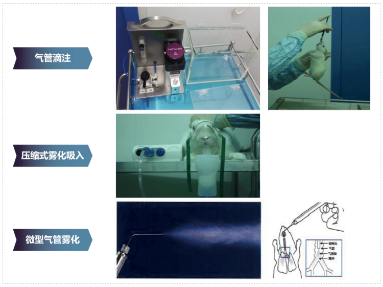 富联娱乐其它吸入给药方式.webp