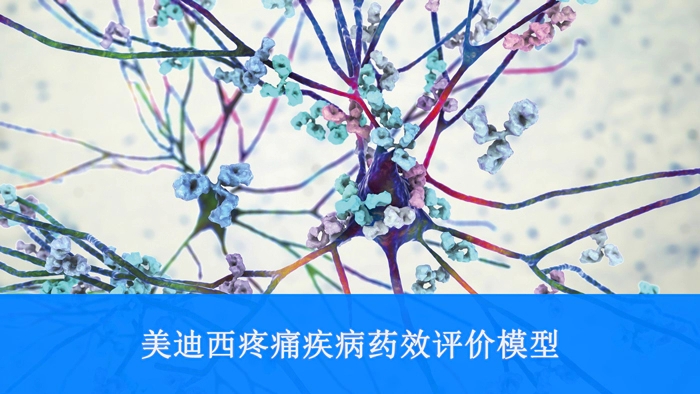 富联娱乐疼痛疾病药效评价模型.webp